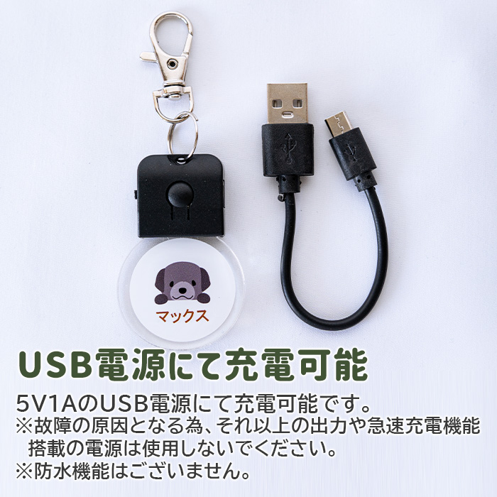 USB電源にて充電可能